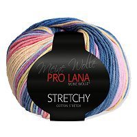 PRO LANA Stretchy - No. 81 - 50gr.