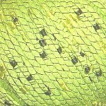 Silke by Arvier ORCHIDEA - Green 271 - 50gr.