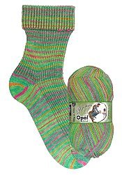 OPAL Sockenwolle - Memories No. 11005 - 100gr.